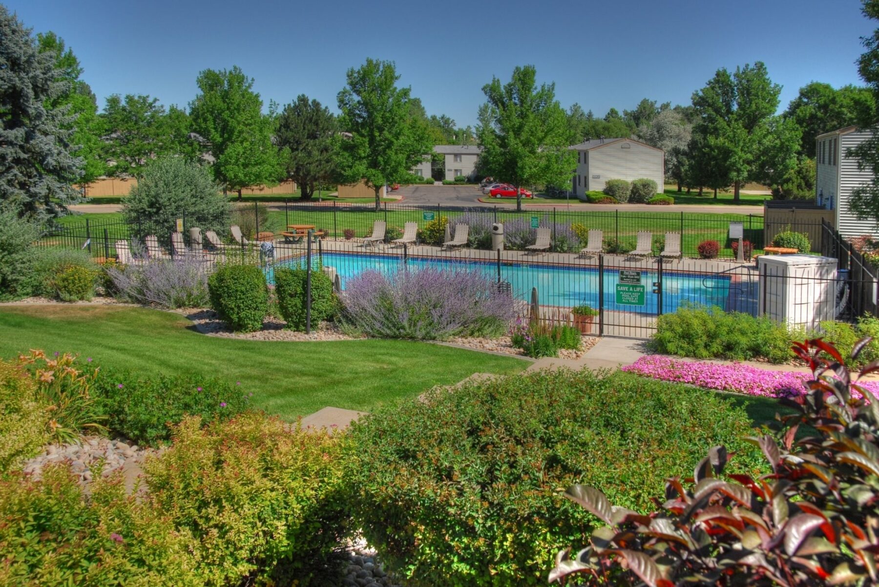 Swimming Pool with black fence