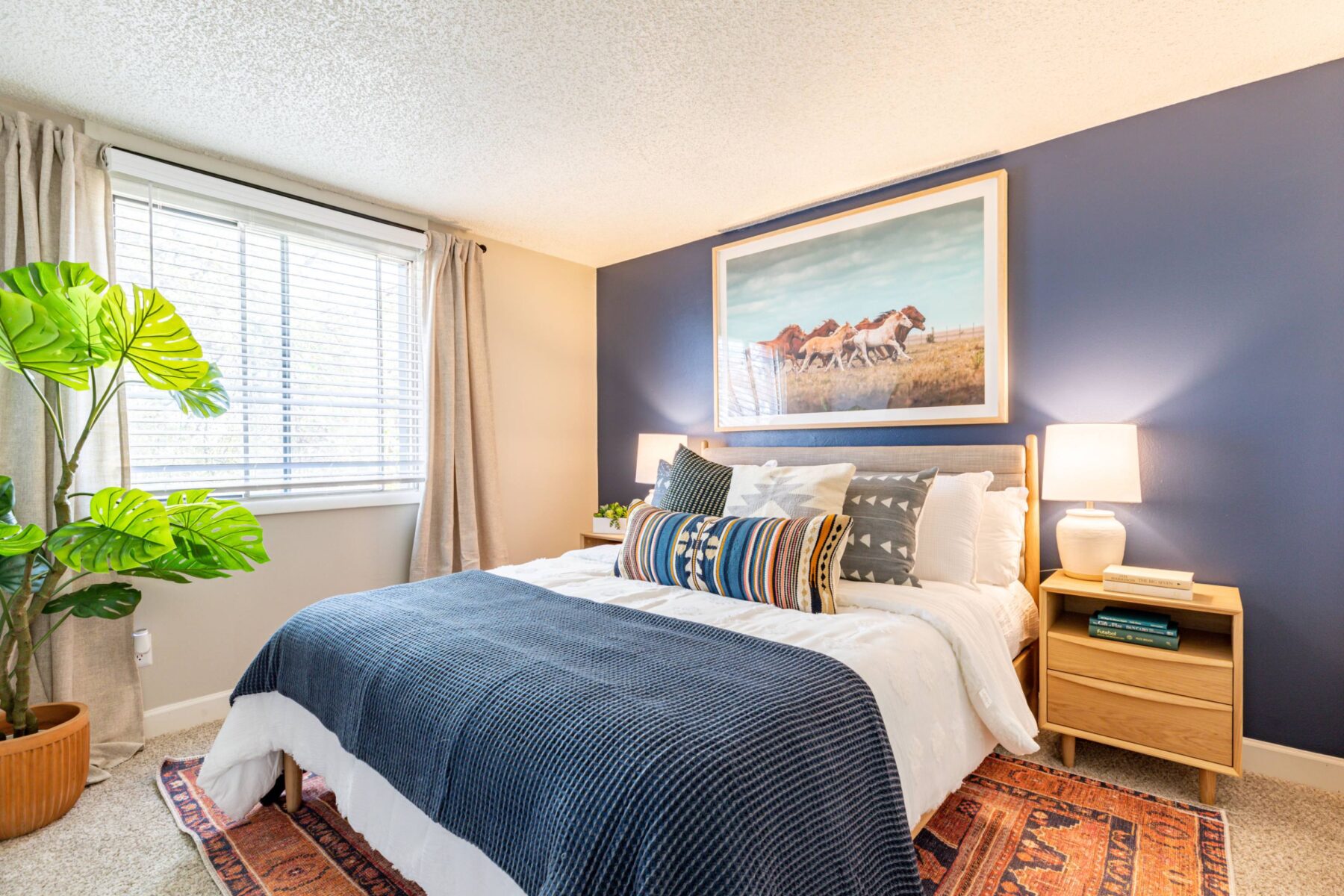 bedroom with large window and blue accent wall